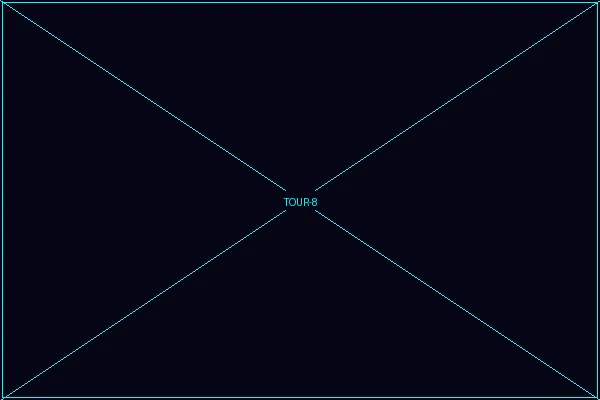 代表神经织网的抽象数据网络